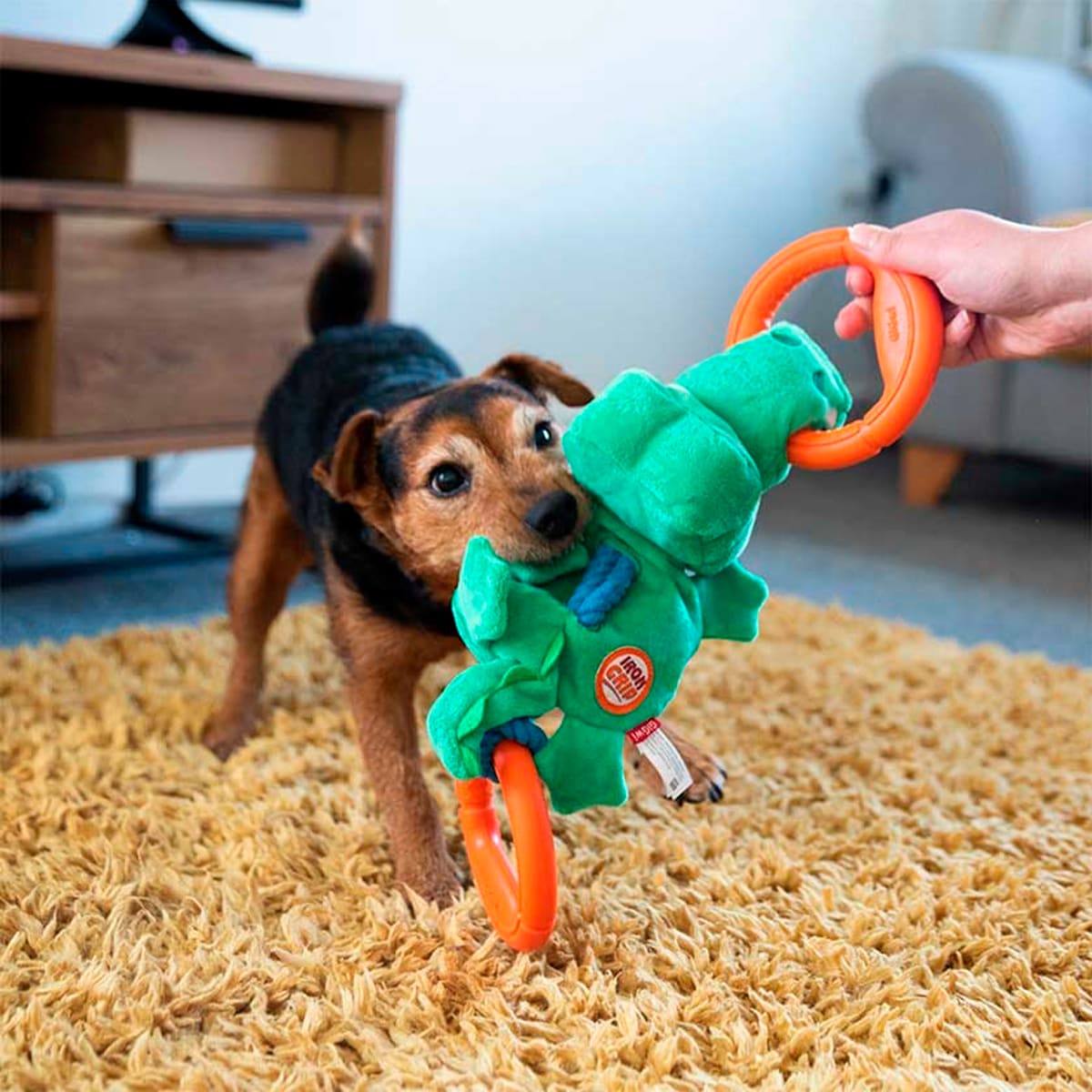 GiGwi Cocodrilo Plush con Cuerda Iron Grip3