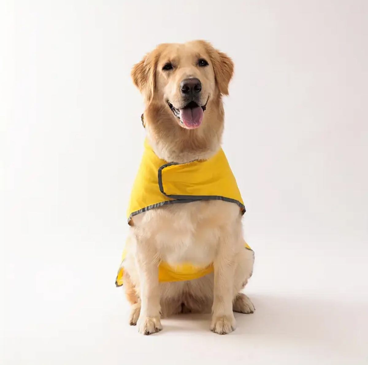 Impermeable reversible para perro color amarillo Pets Tale5