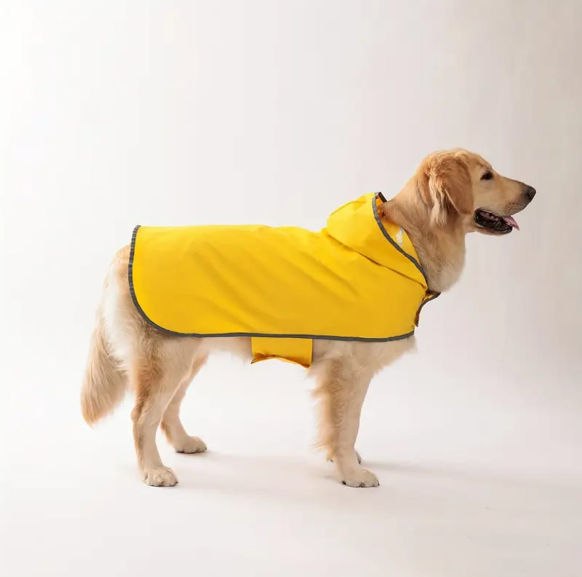 Impermeable reversible para perro color amarillo Pets Tale4