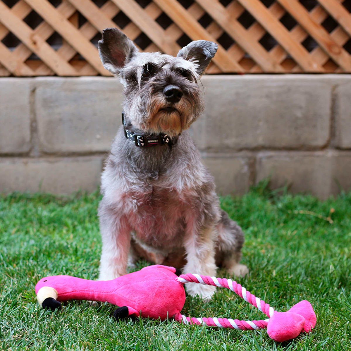 BRNX Flamenco Plush con Cuerda XL3