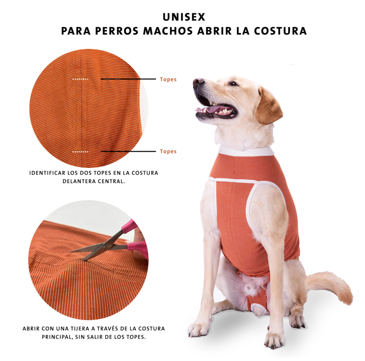 Kimba Body Copper Castración perro macho3