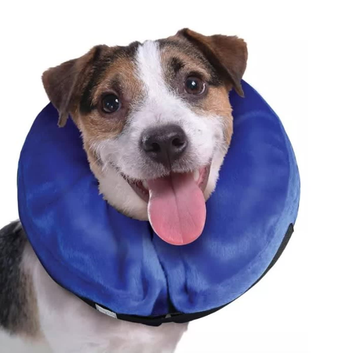 KONG Cloud Collar Isabelino Inflable para perro y gato2