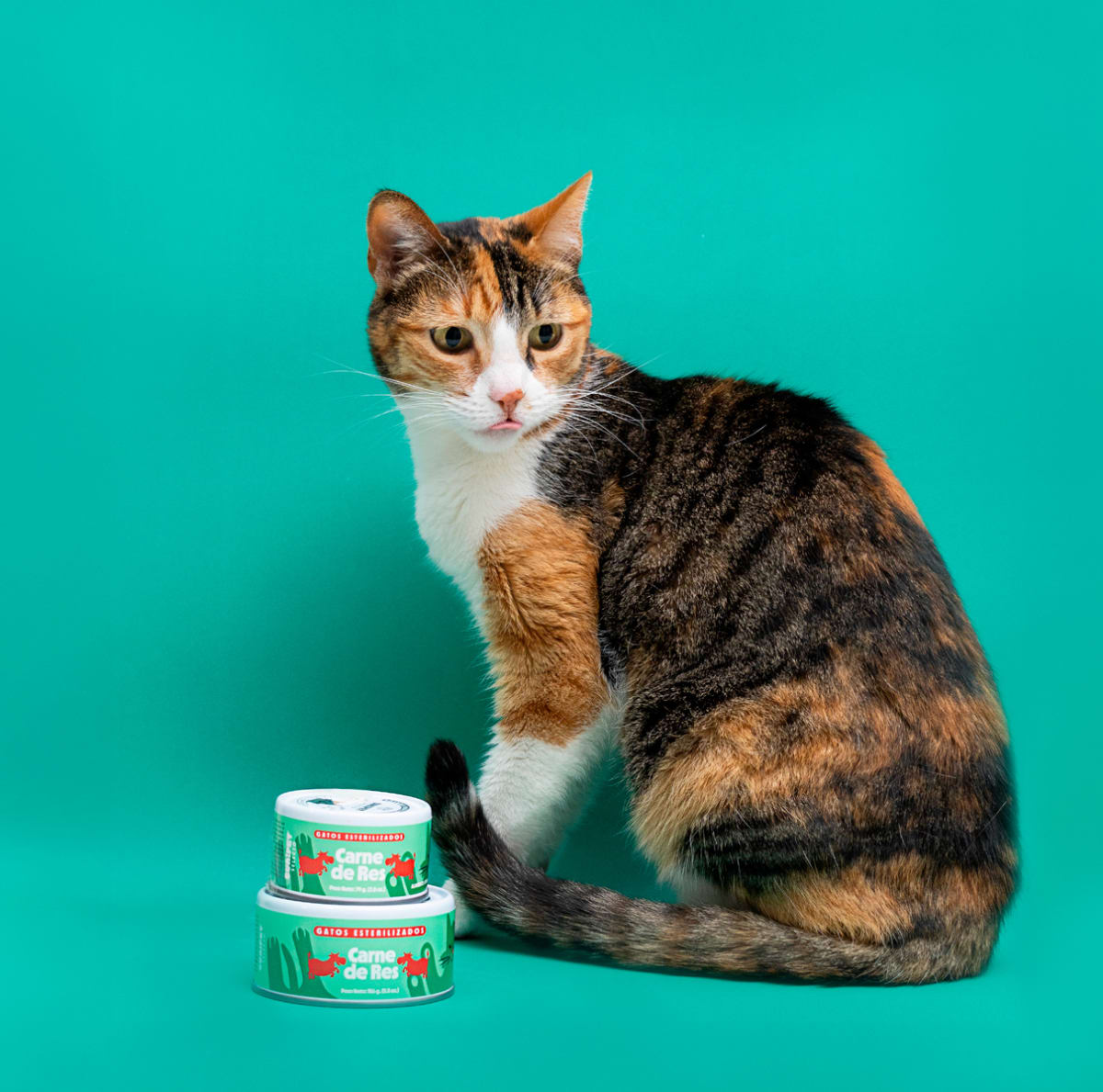 SuniSelecto esterilizado con carne de res para gatos de Sunipet2