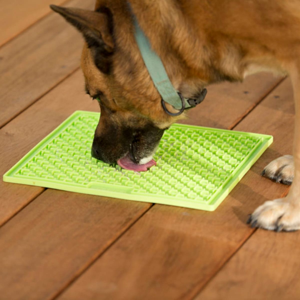 LickiMat Buddy Pink para perros2