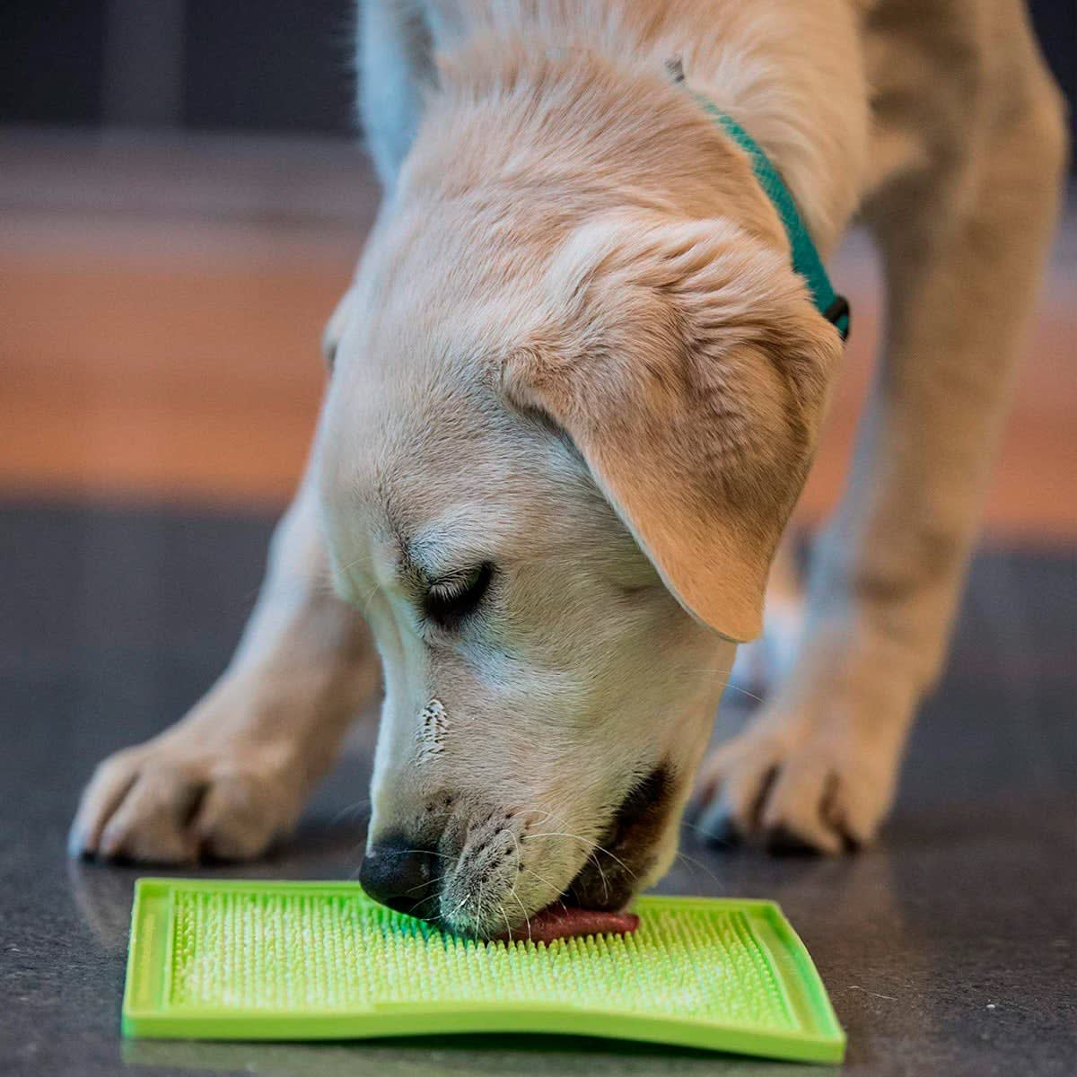 LickiMat Soother Turquoise para perros Turquesa2