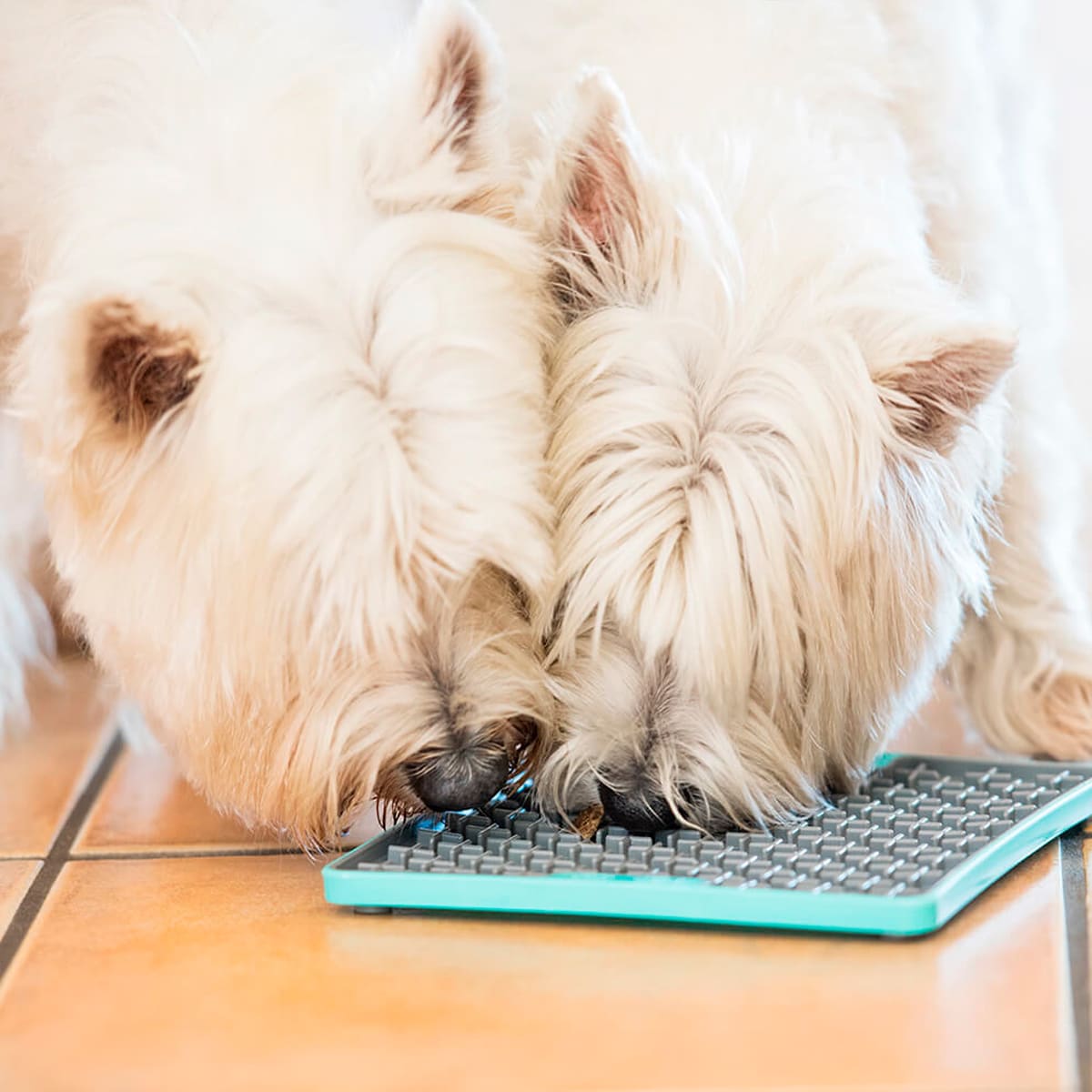 LickiMat Tuff Buddy turquesa para perros2