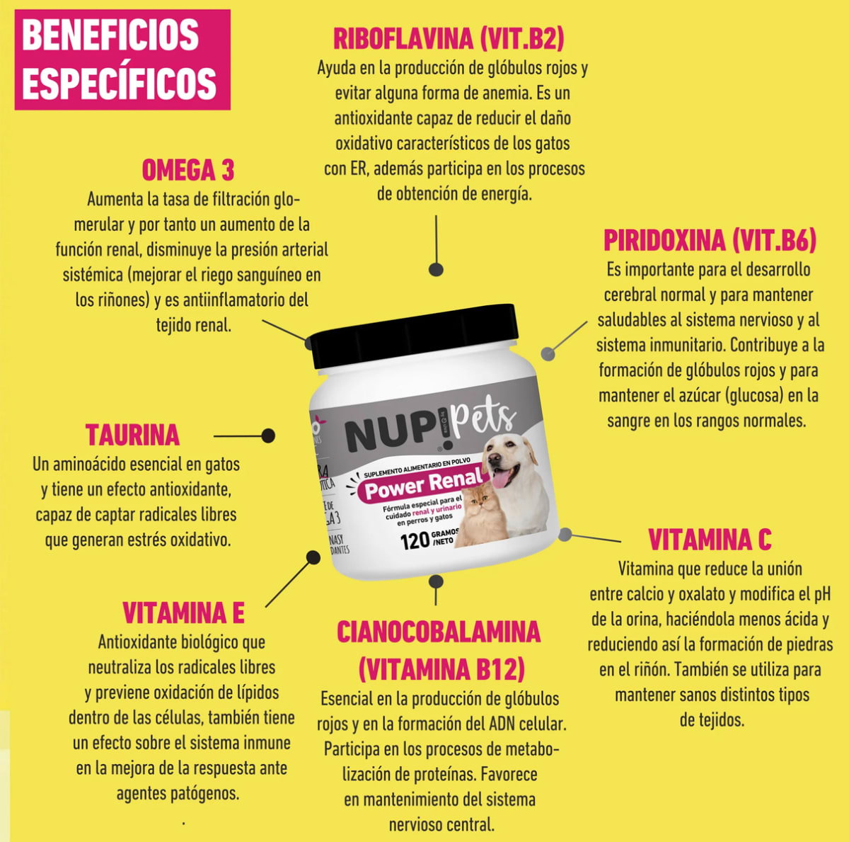 Nup!Pets Power Renal suplemento alimenticio en polvo para perros y gatos2