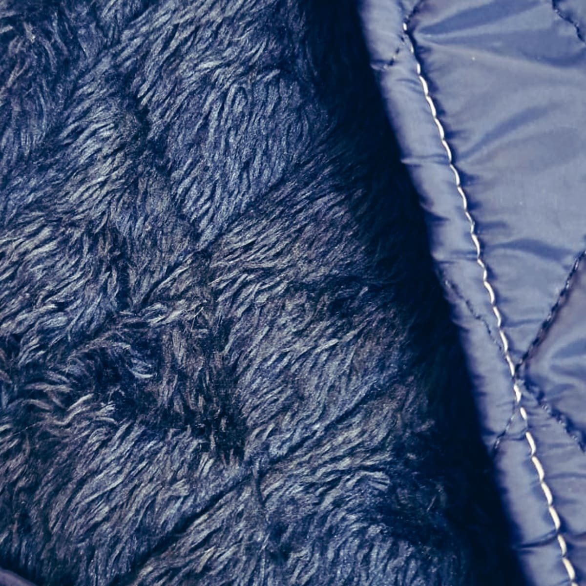 DD Parka Azul Marino3