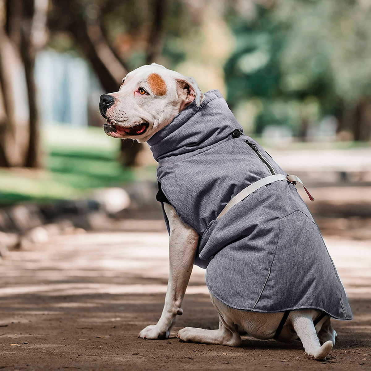Petlounge Parka Dry and Comfy Gris Talla L3