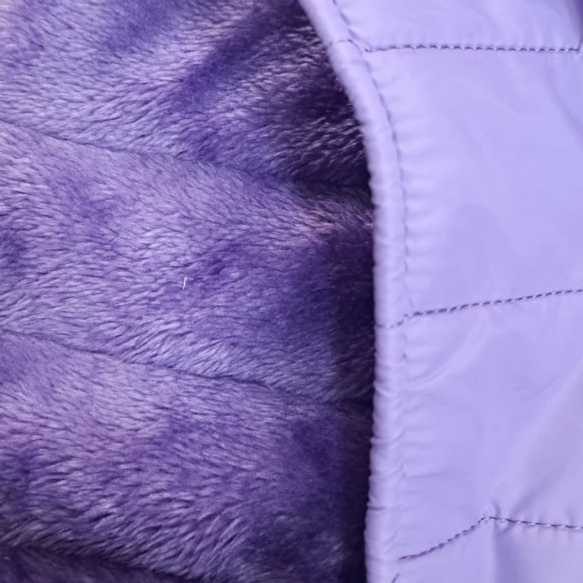 DD Parka lila lineas para perros3