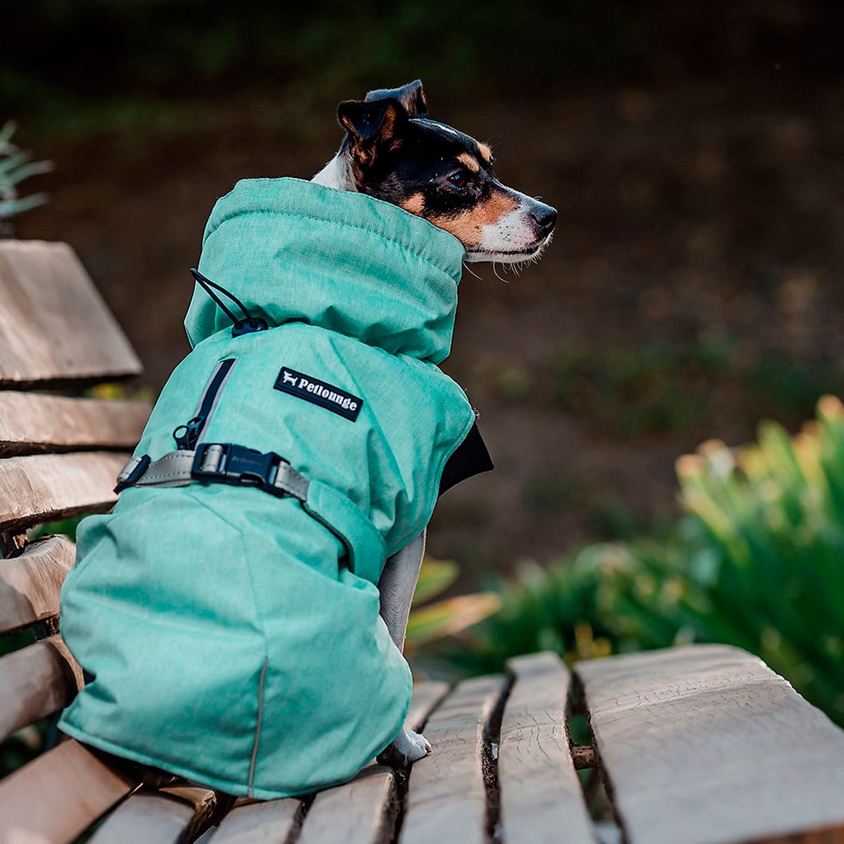 Petlounge Parka Dry and Comfy Menta Ropa para perro2