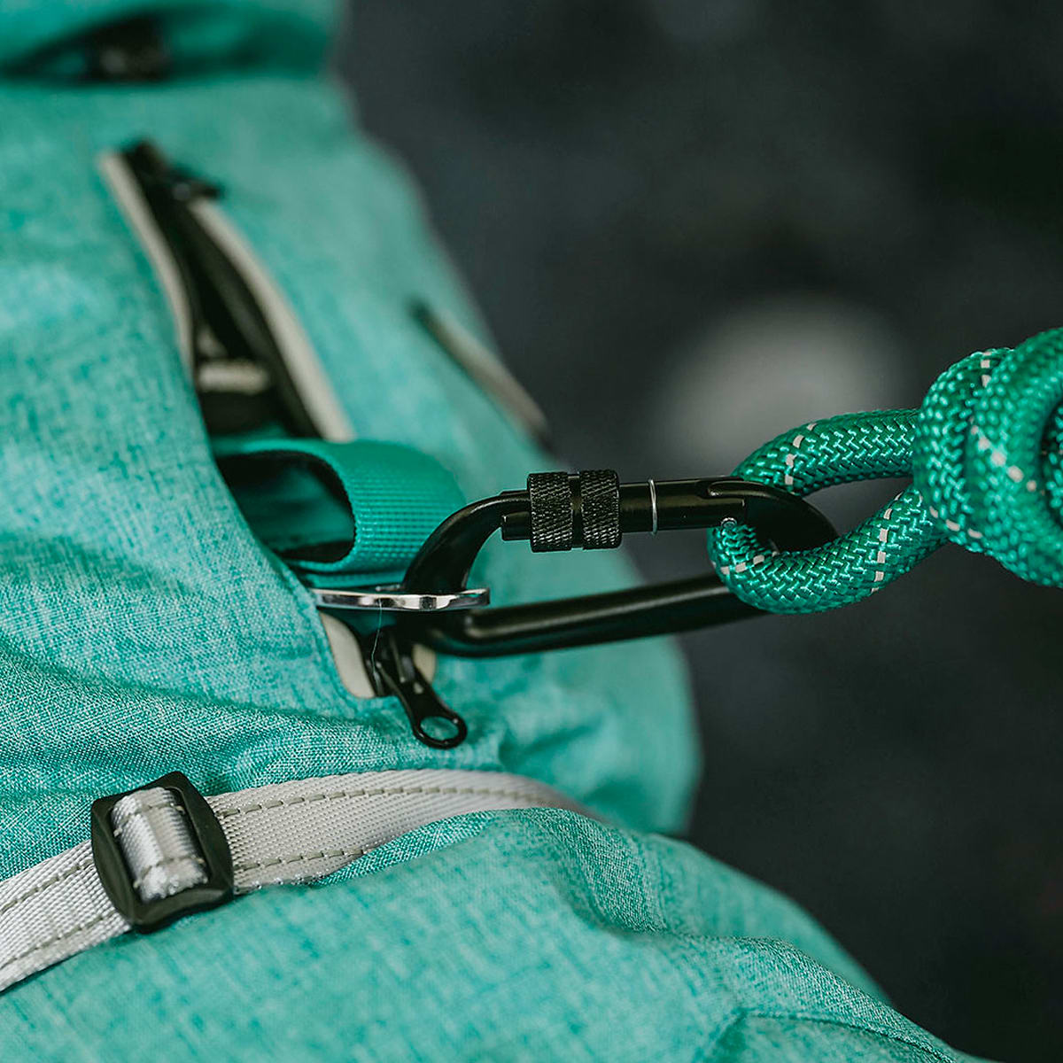 Petlounge Parka Dry and Comfy Menta Ropa para perro4