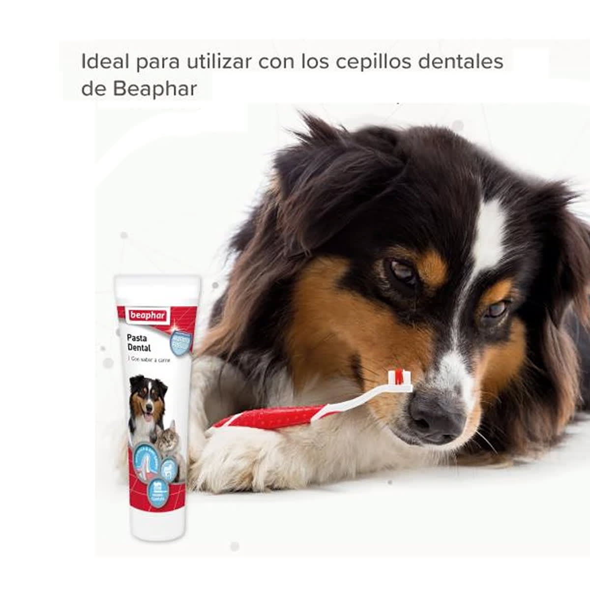 Beaphar Toothbrush Cepillo de dientes doble extremo5