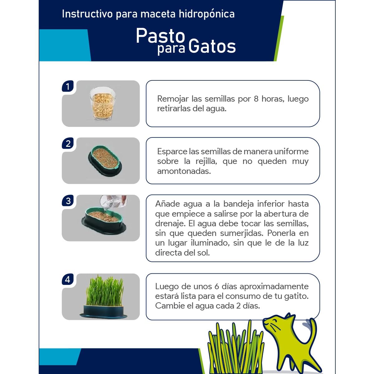 Maceta de Cultivo Hidropónico de Hierba para Gatos (No incluye las semillas)6