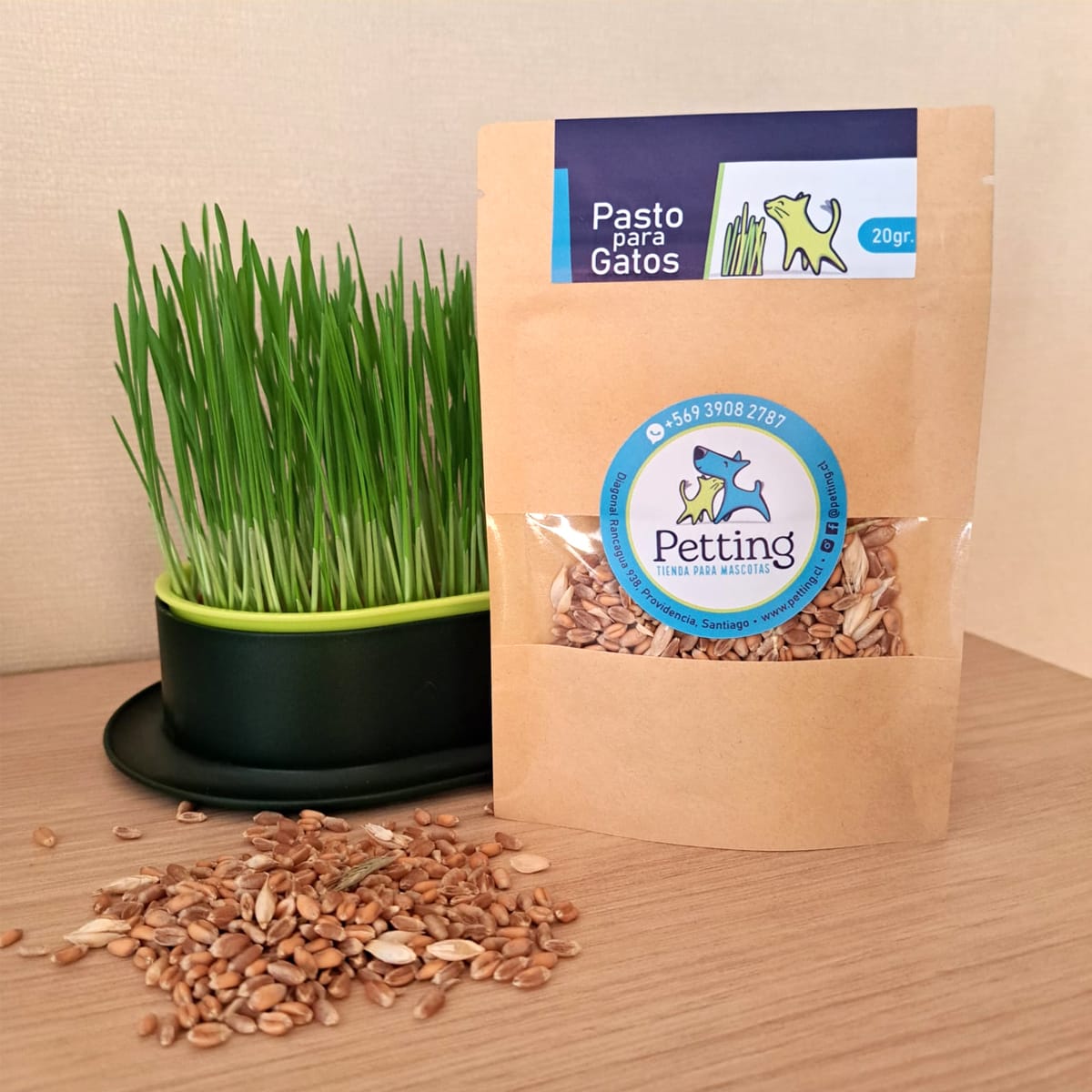 Kit Maceta Hidropónica + Semillas de Pasto para Gatos (20gr) 1