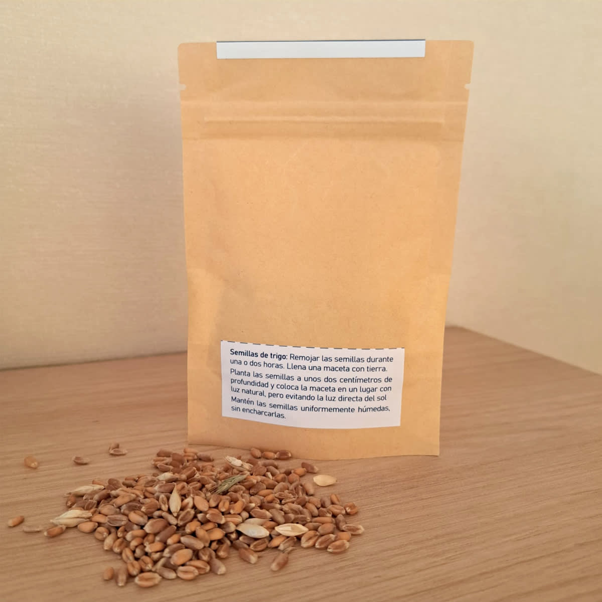 Pasto para Gatos semillas de trigo orgánicas (20gr)3