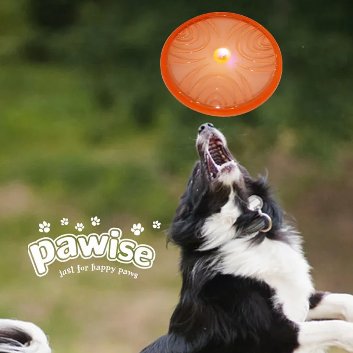Pawise Frisbee con Luz 20cm color naranjo2