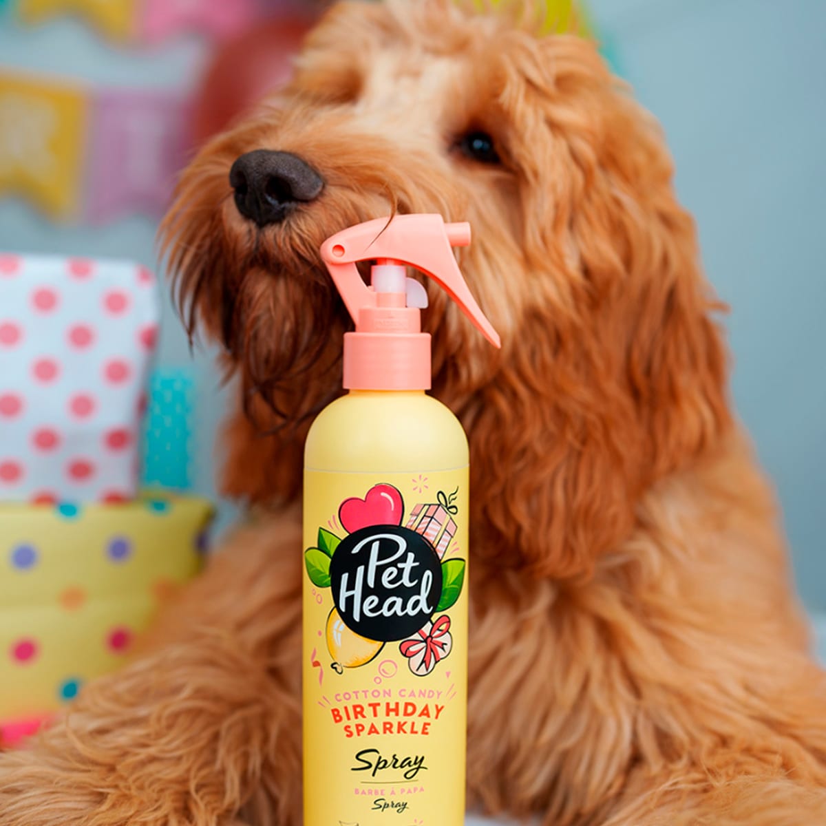 Pet Head Birthday Sparkle Spray con brillo olor a algodón de azúcar 296 ml2