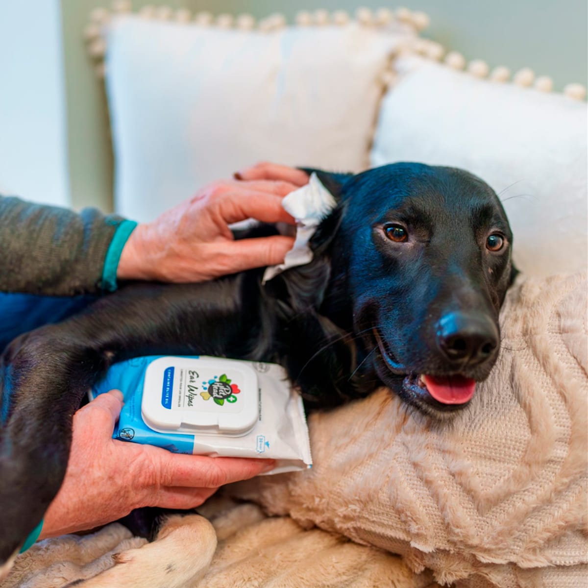 Pet Head Health toallitas húmedas para limpieza de oídos 30 unidades2