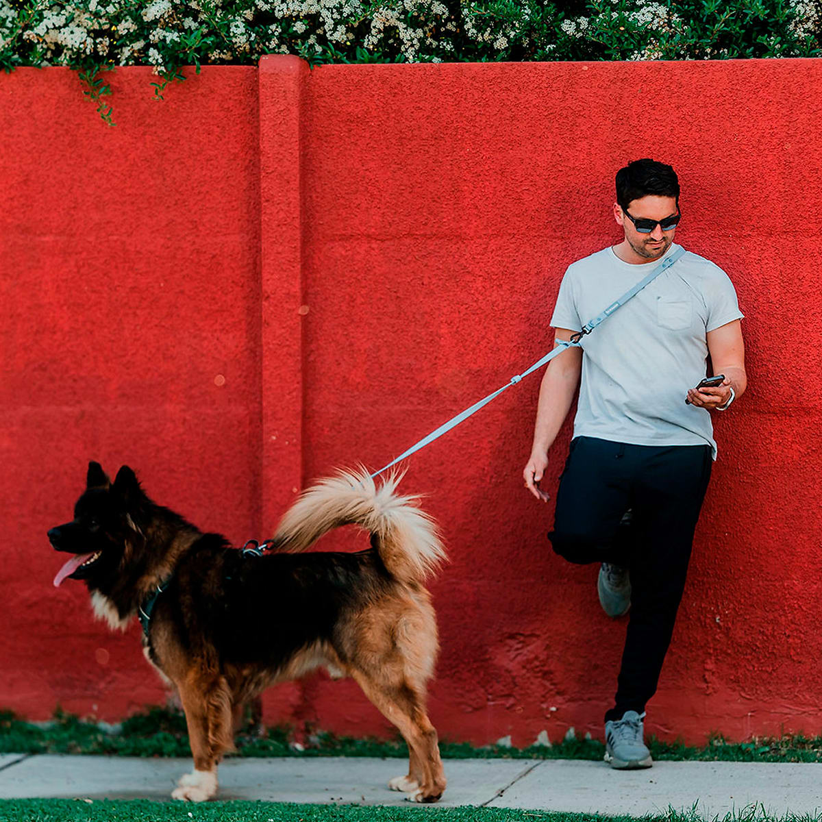 Correa manos libres de Petlounge color celeste2