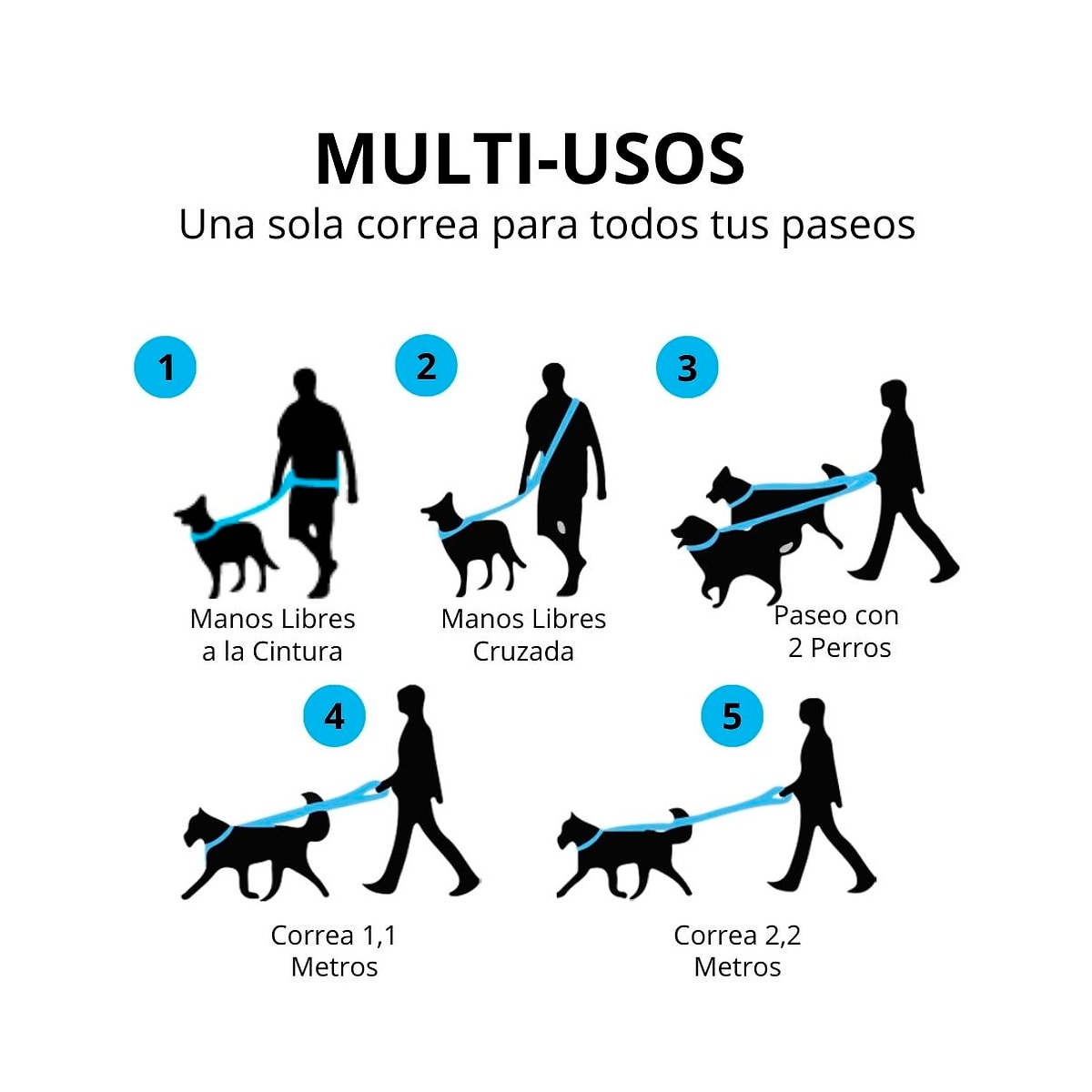 Correa manos libres de Petlounge color celeste4