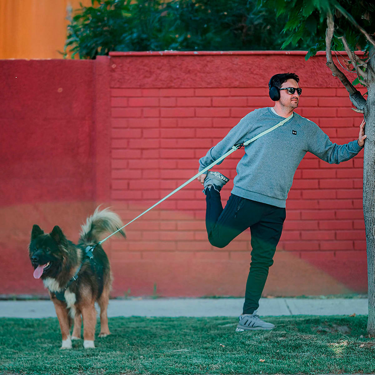 Correa manos libres de Petlounge color verde2