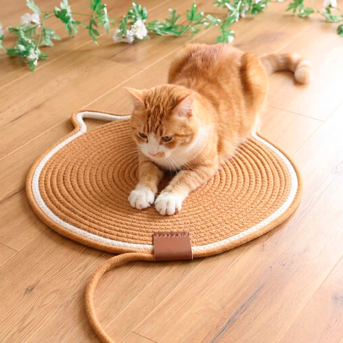 Alfombrilla para rascar Pet'sFun para gatos 43 x 43 cm 1