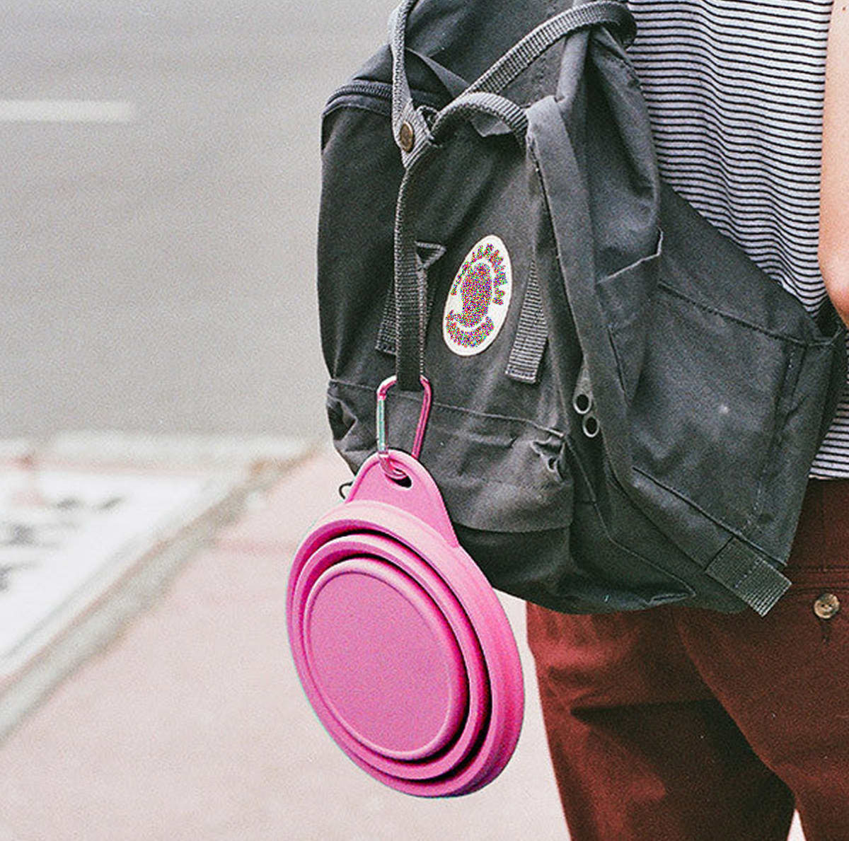 Plato plegable de silicona Go Bowl Pink de ZeeDog3