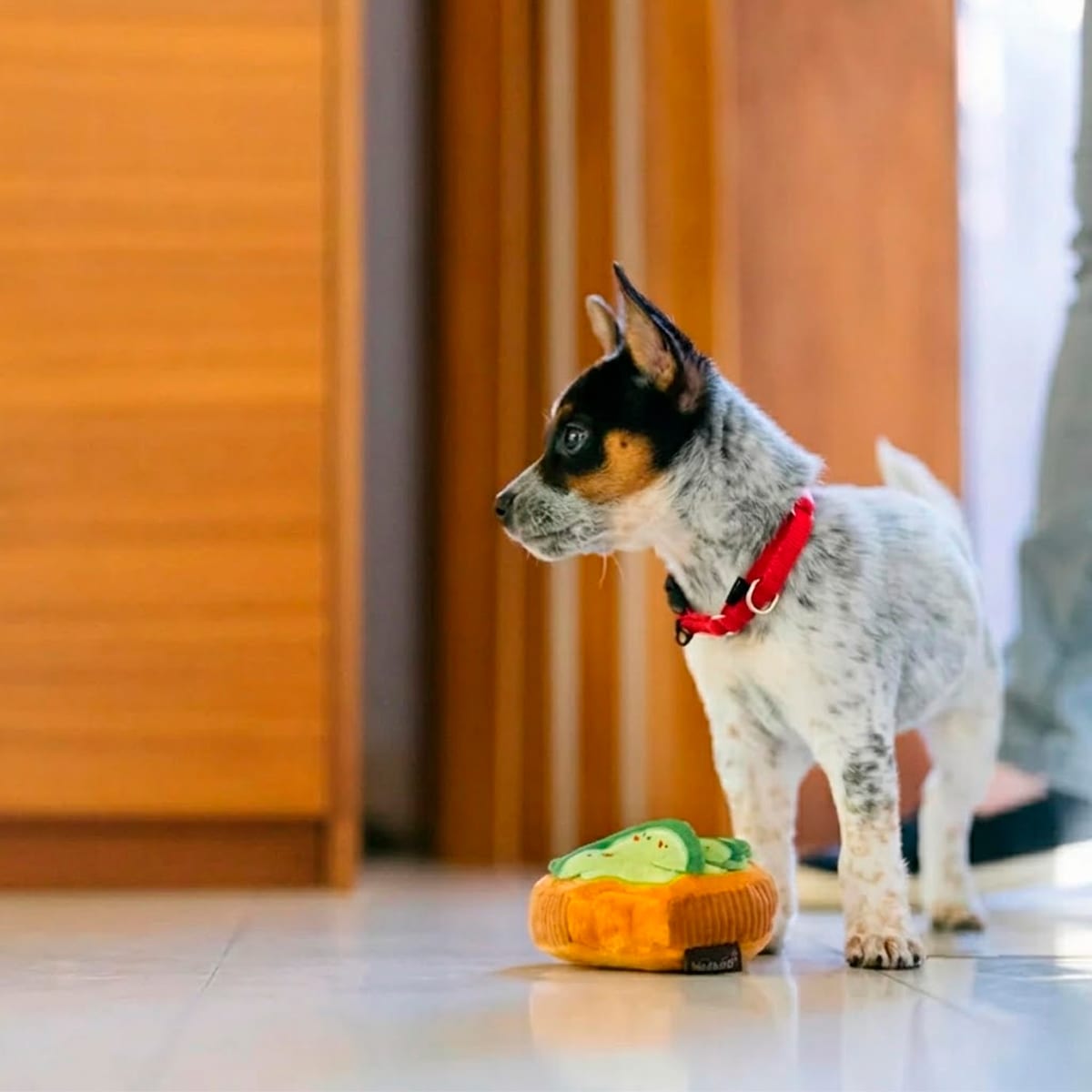 Juguete Play Pet Barking Brunch Avo-Doggo Toast para perros2