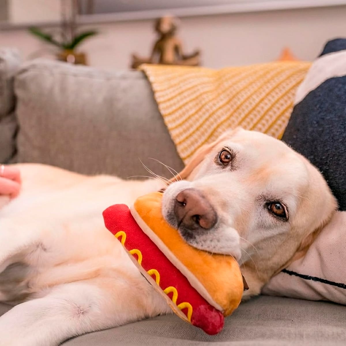 Juguete Play Pet American Classic Hot Diggy Dog para perros2