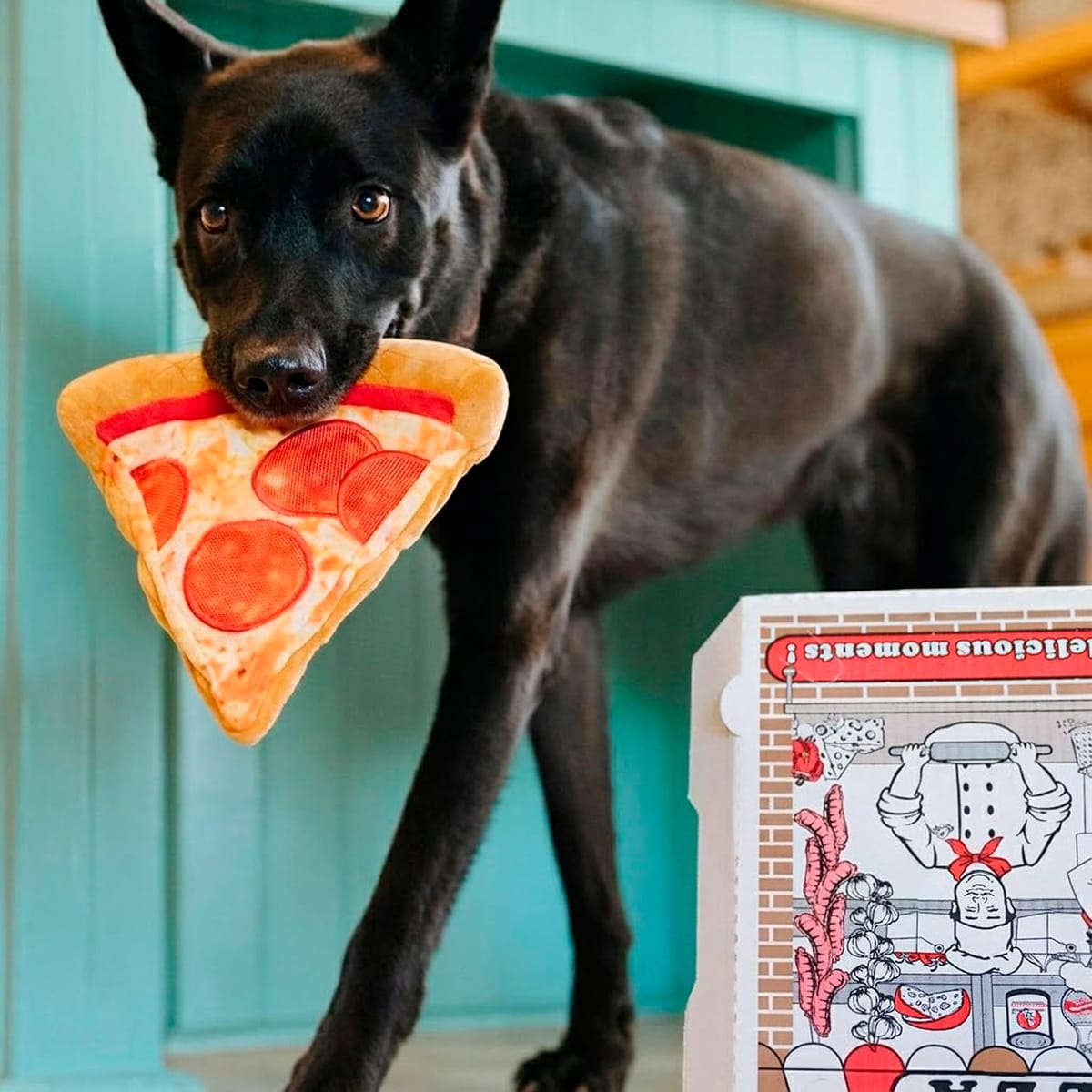 Juguete Play Pet Snack Attack Puppy Roni Pizza para perros2