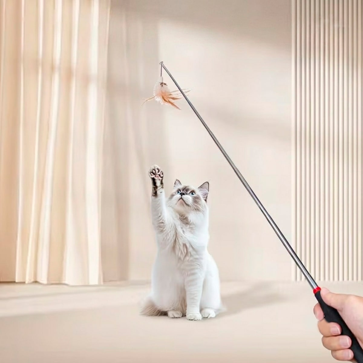 Juguete varilla extensible con 3 plumas intercambiables para gato3