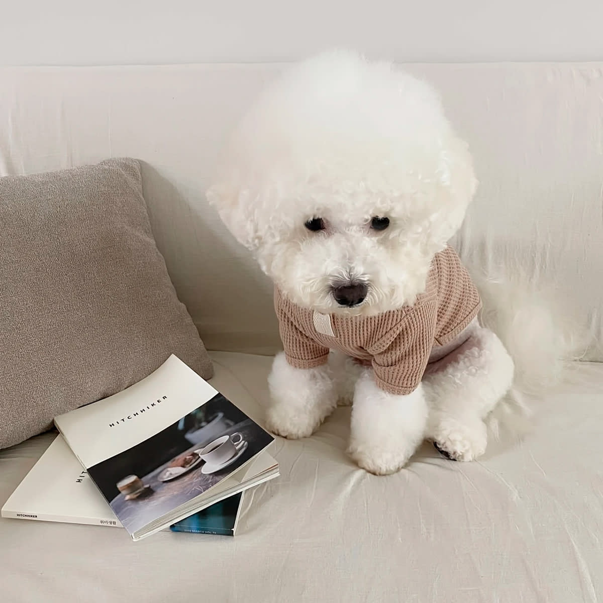 Polera de hilo con botón para perro pequeño/mediano caqui2