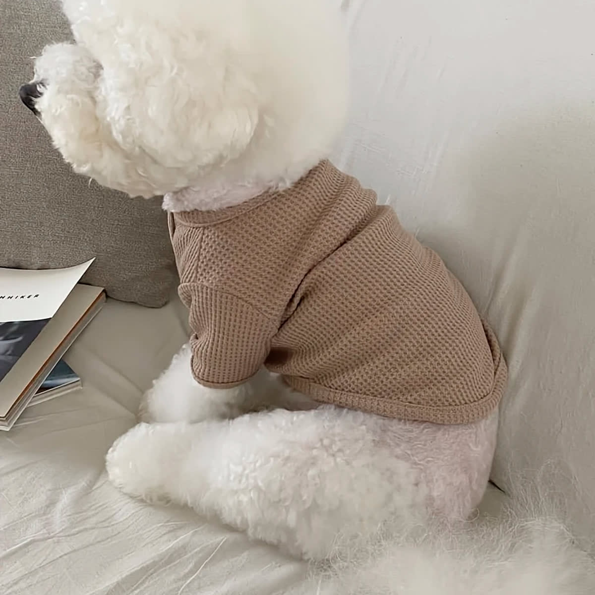 Polera de hilo con botón para perro pequeño/mediano caqui 1