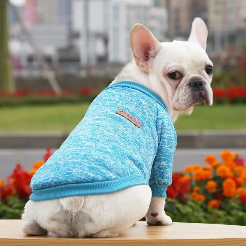 Chaleco Classic Jaspeado cyan para perro 1