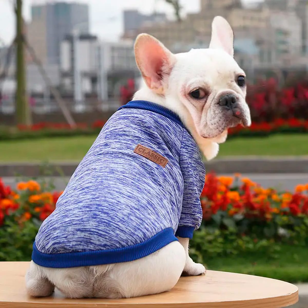 Chaleco Classic Jaspeado azul para perro 1