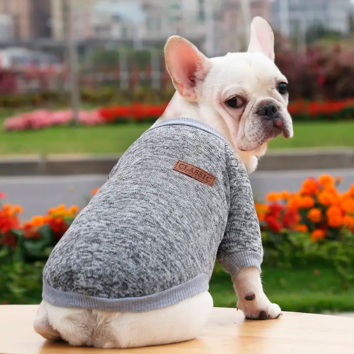 Chaleco Classic Jaspeado Gris Ropa para mascotas 1