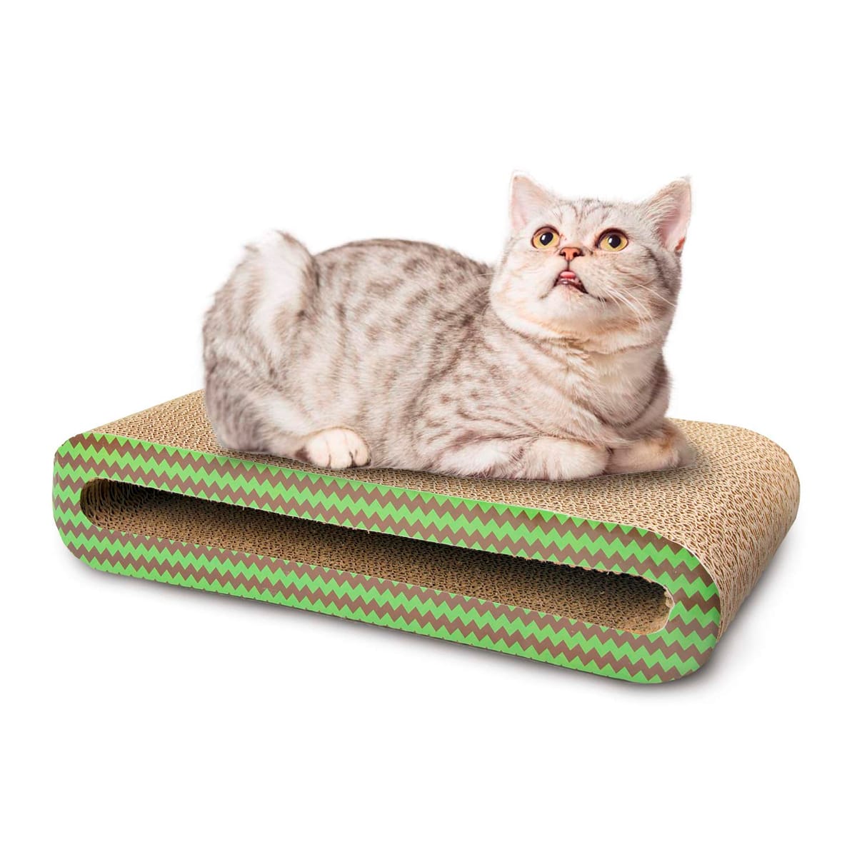 Pawise Rascador Floor2