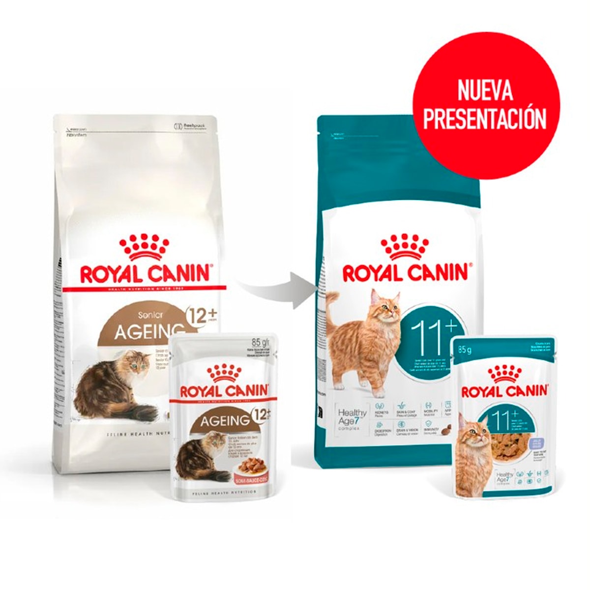 Royal Canin Gato Ageing 11+ 2 kg 1