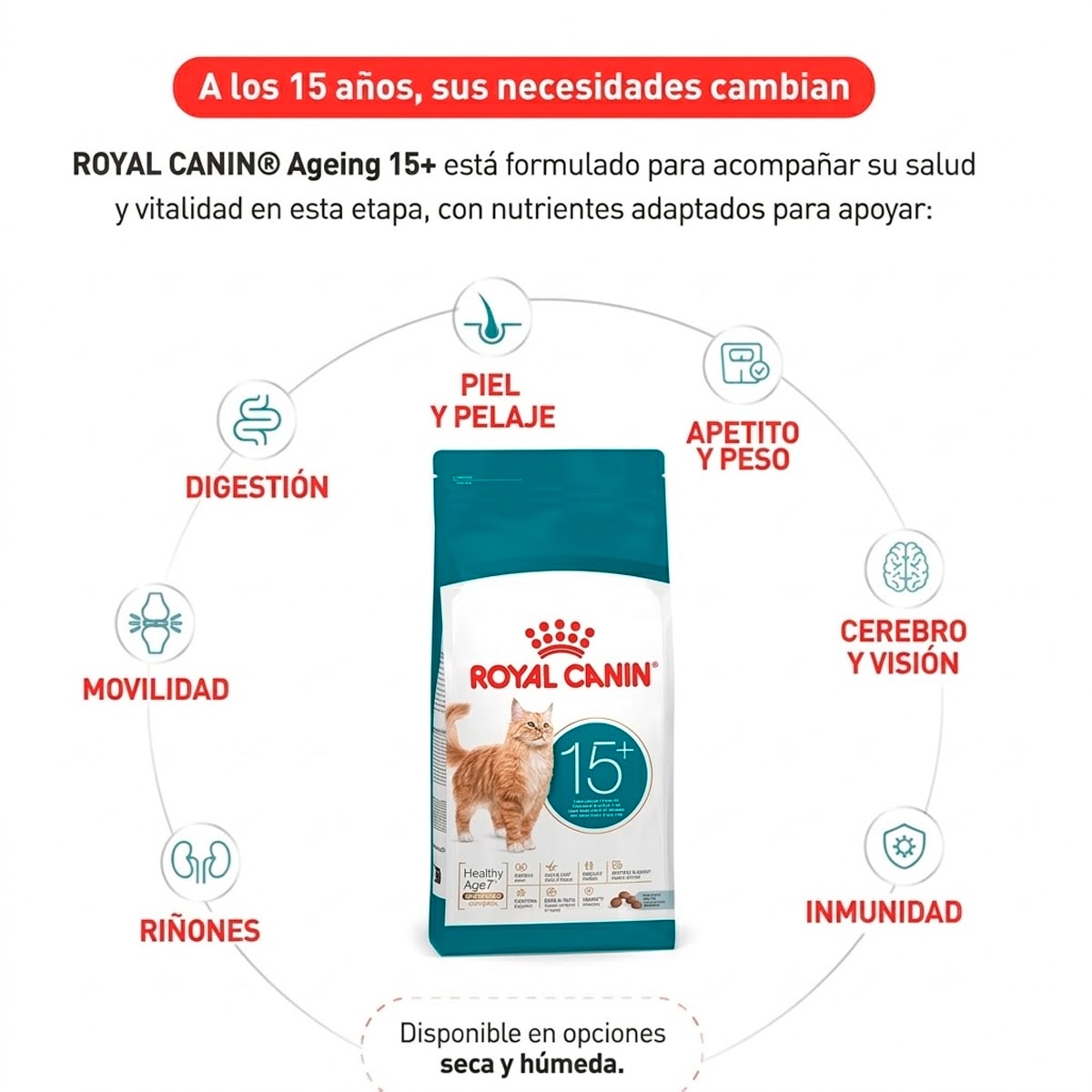 Royal Canin Gato Ageing 15+ 2 kg2
