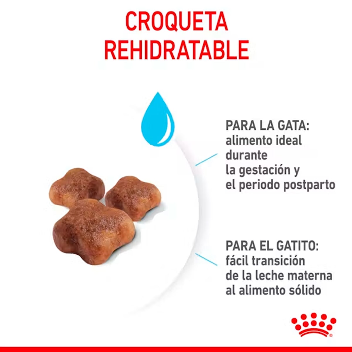 Royal Canin Mother & Baby cat de 1.5 kg2