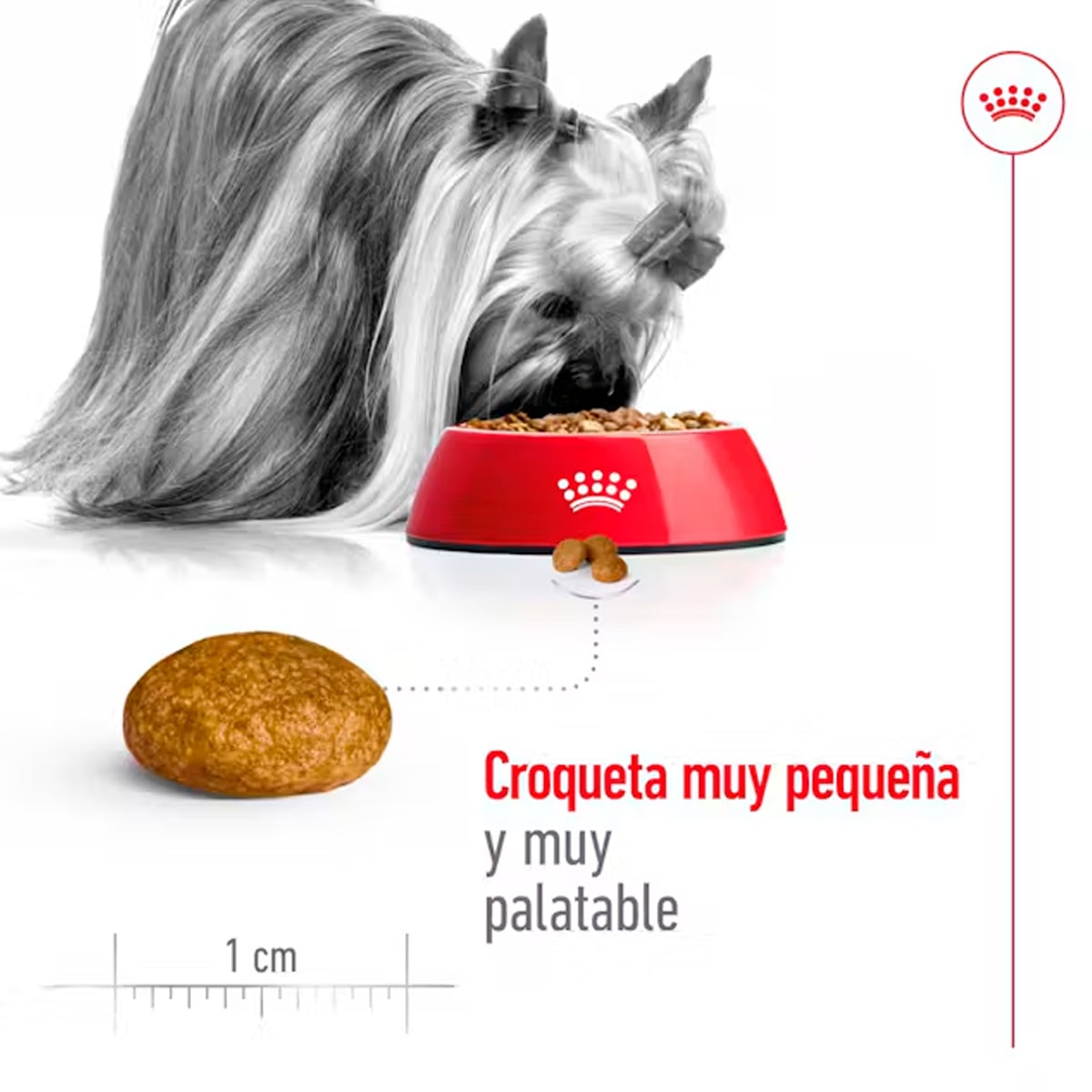 Royal Canin Perro X-Small Adult 1 kg2