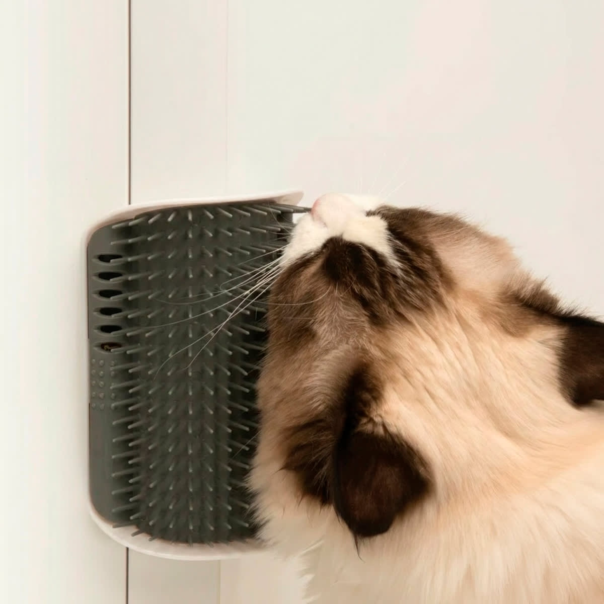 Catit Senses 2.0 self-groomer cepillo de autocepillado para gatos2