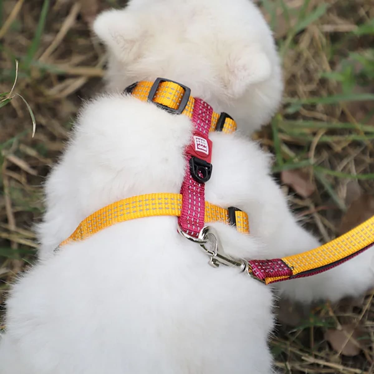 GiGwi Arnés Amarillo2