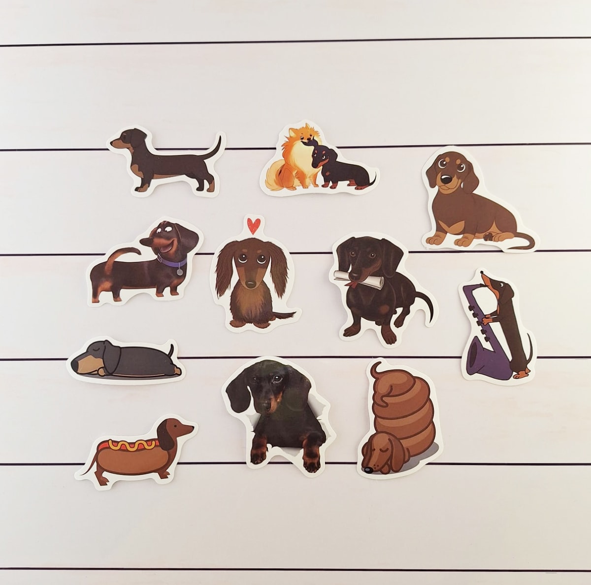 Stickers de perros salchichas ilustrados5