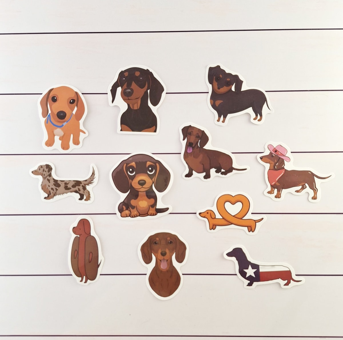 Stickers de perros salchichas ilustrados6
