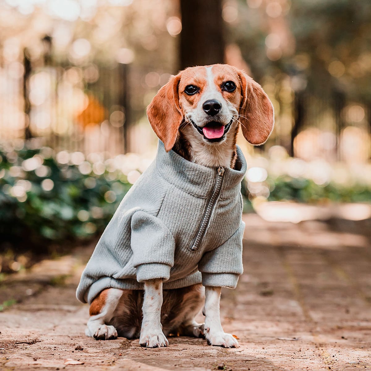 Petlounge Sweater de lanilla para perros pequeños Gris2