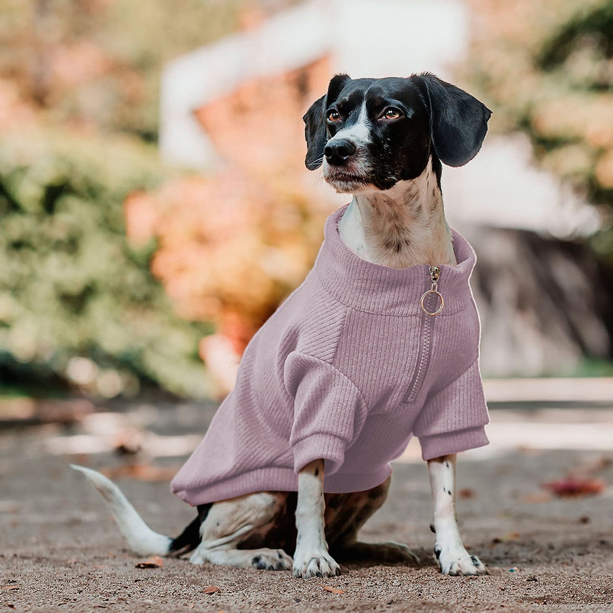 Petlounge Sweater de lanilla para perros pequeños malva2