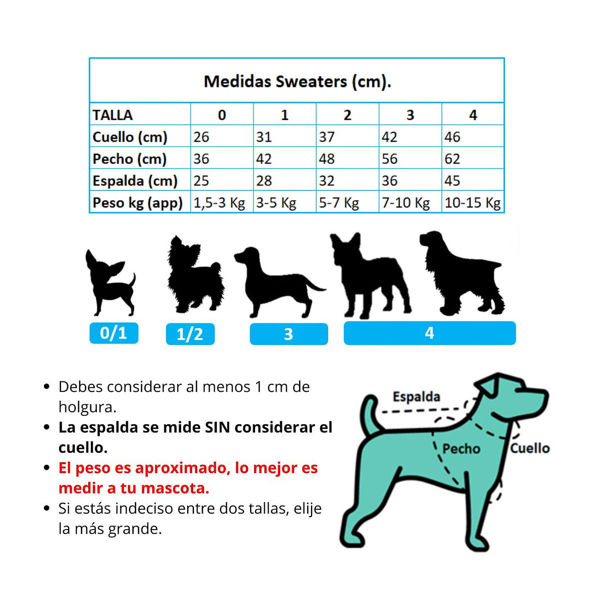 Petlounge Sweater de lanilla para perros pequeños turquesa5