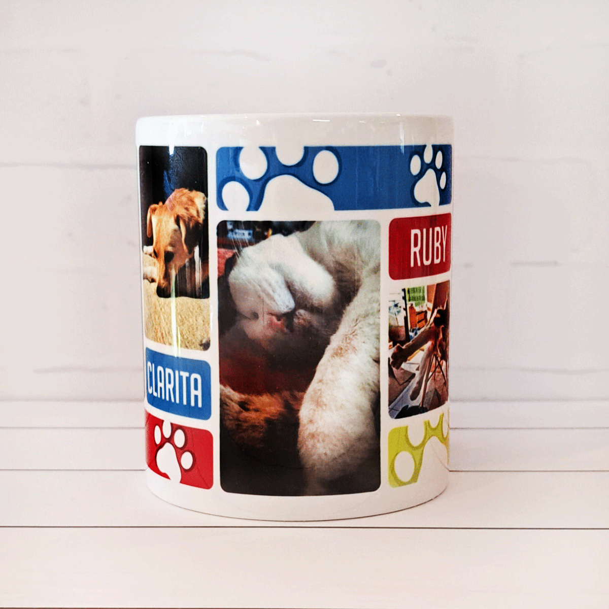 Tazón con fotos y nombre de tu mascota5
